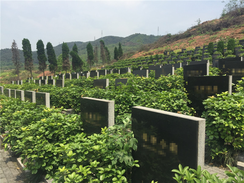 生态园林式立碑墓